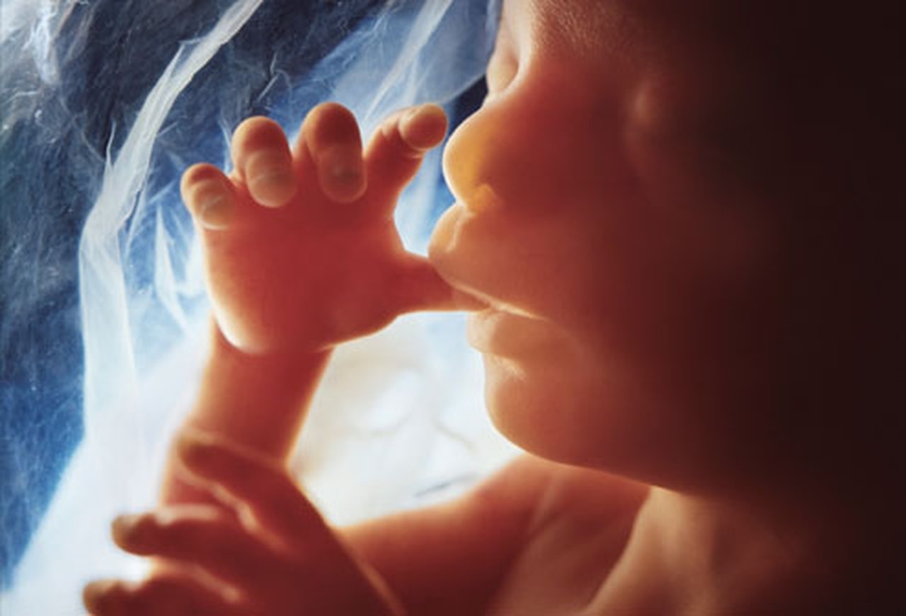 Bébé a-t-il une mémoire in utero ? Se souvient-il du ventre de sa mère ?