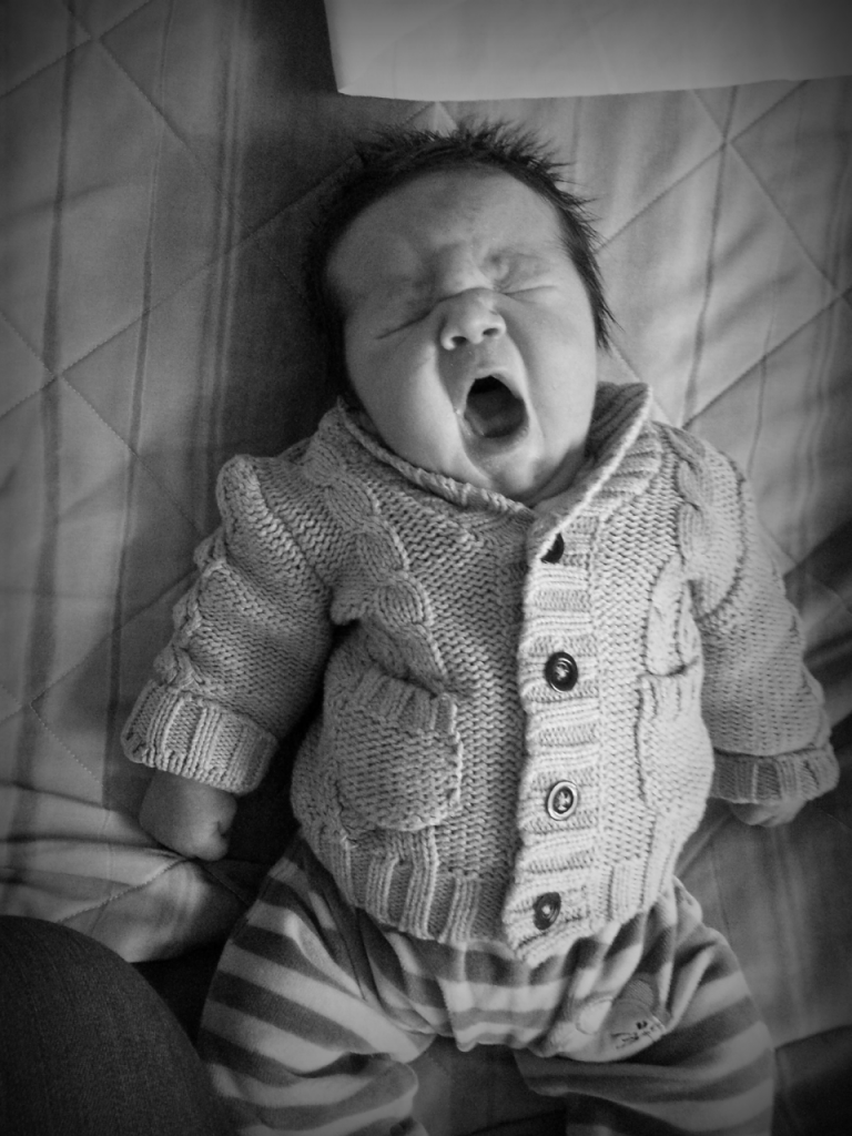 Romeo, né le 23 octobre 2014