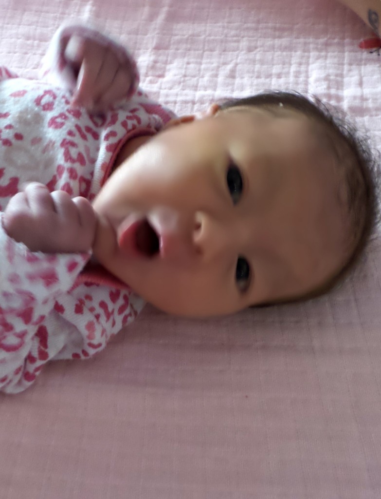 Rose, née le 28 octobre 2014