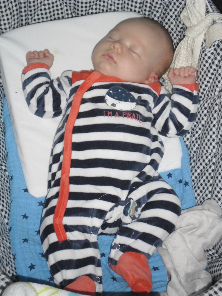 Tyméo, né le 12 octobre 2014