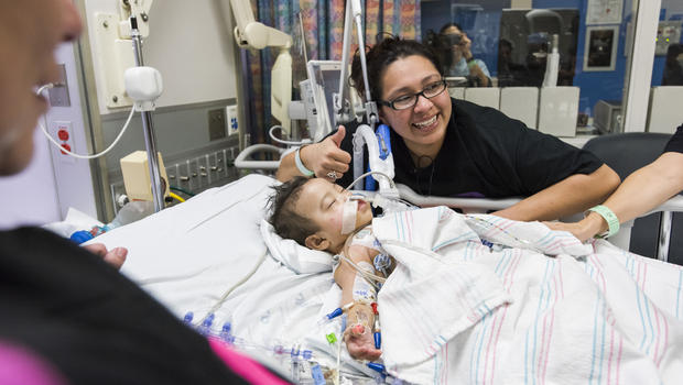 siamoises americaines 2