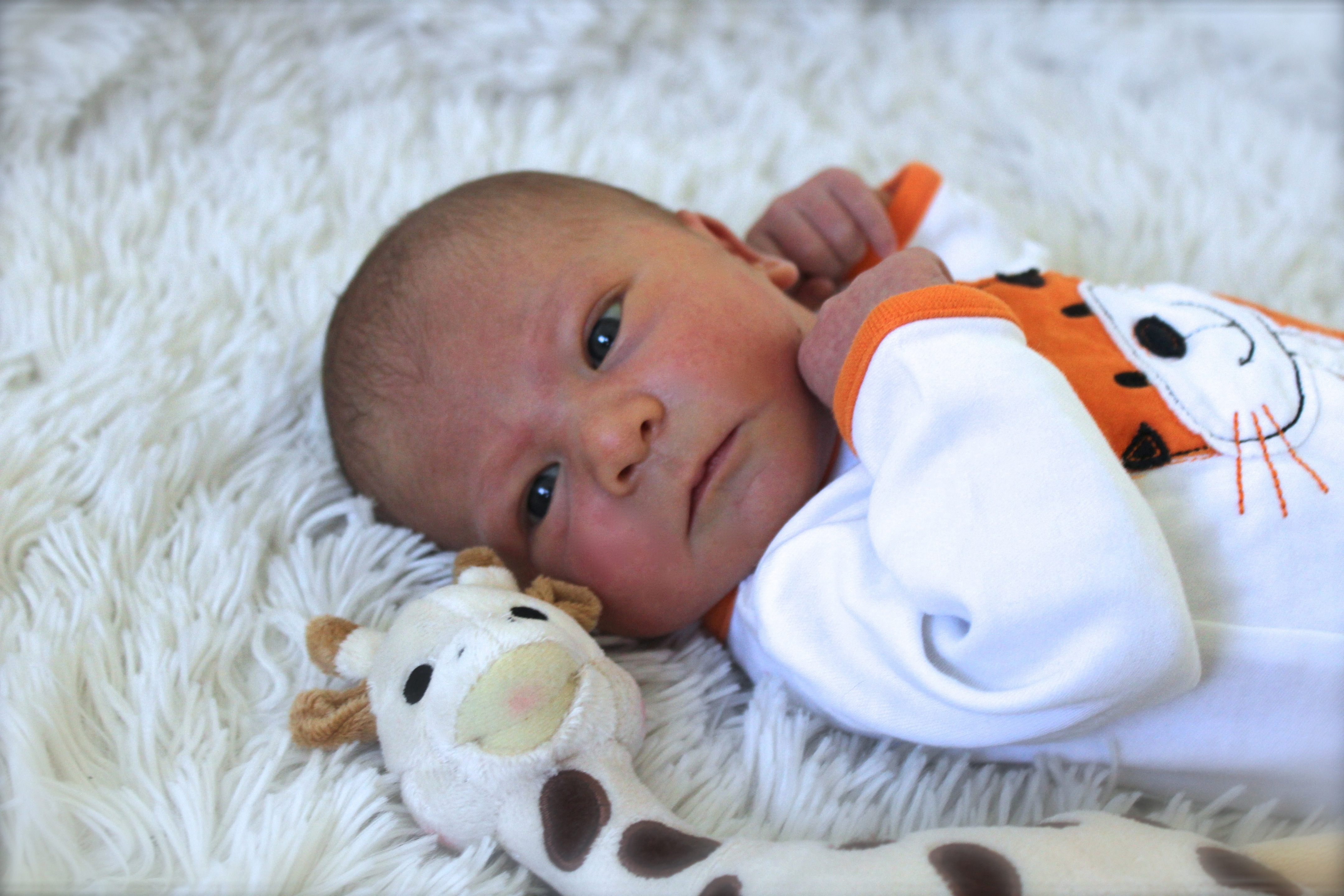 Lywenn, né le 19 avril 2015 