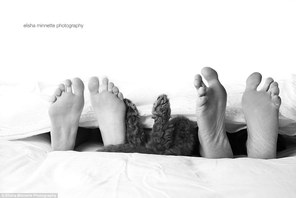 seance photo matt aby et leur chien 8