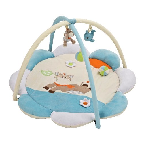 tapis deveil Petit Ane