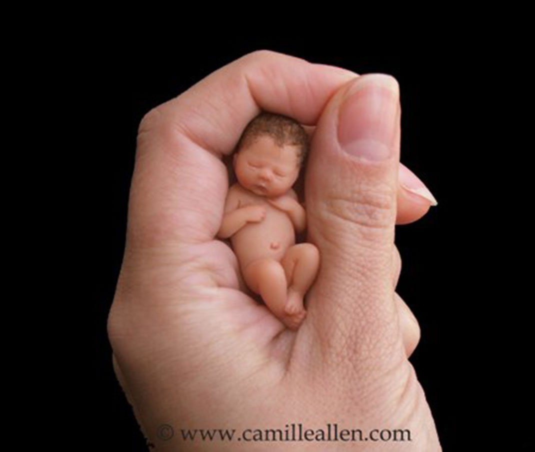 bebe argile camille allen 14