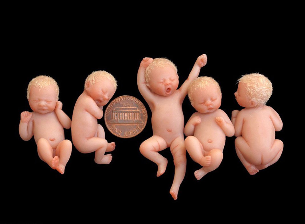 bebe argile camille allen