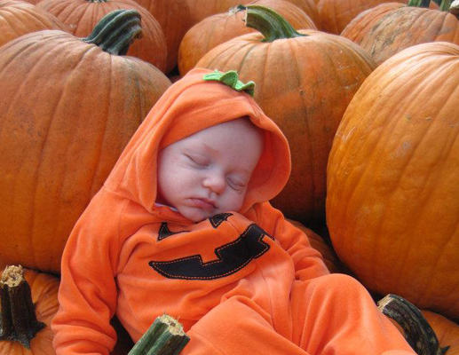 bebe drole endormi cirouille