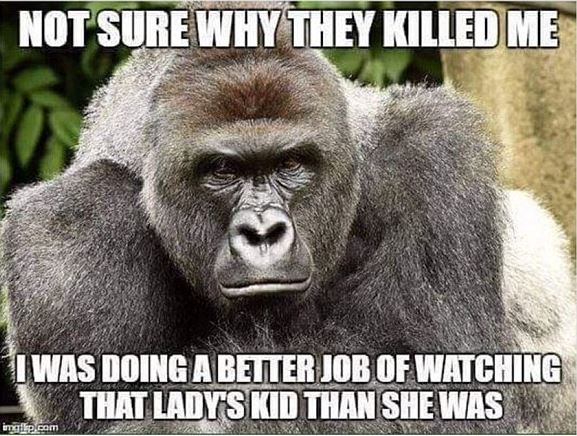 harambe responsabilite maman bashing