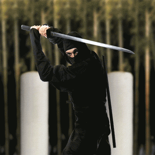 ninja femme