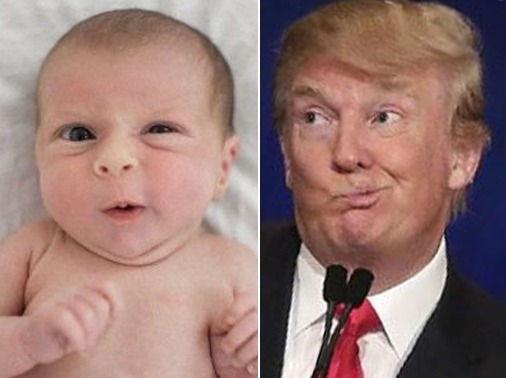tetes-bebes-ressembles-donald-trump-2