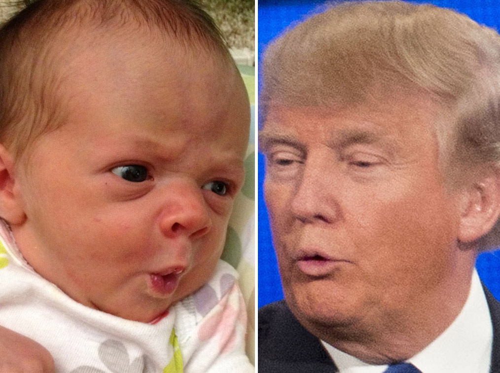 tetes-bebes-ressembles-donald-trump-3