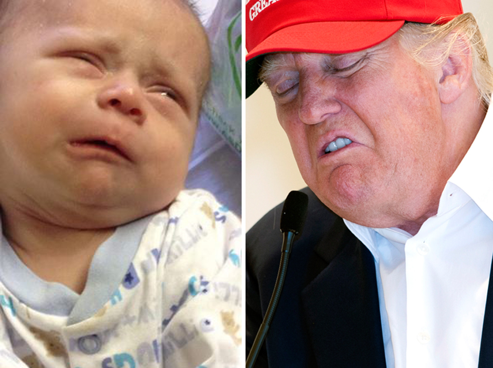 tetes-bebes-ressembles-donald-trump-7