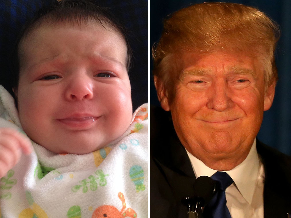 tetes-bebes-ressembles-donald-trump-8