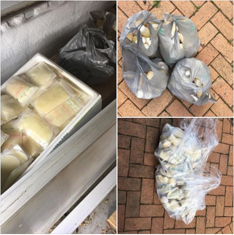 dons de lait maternel