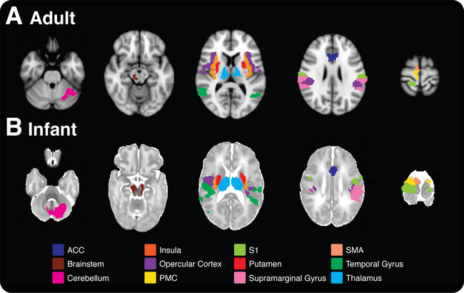 électroencéphalogramme