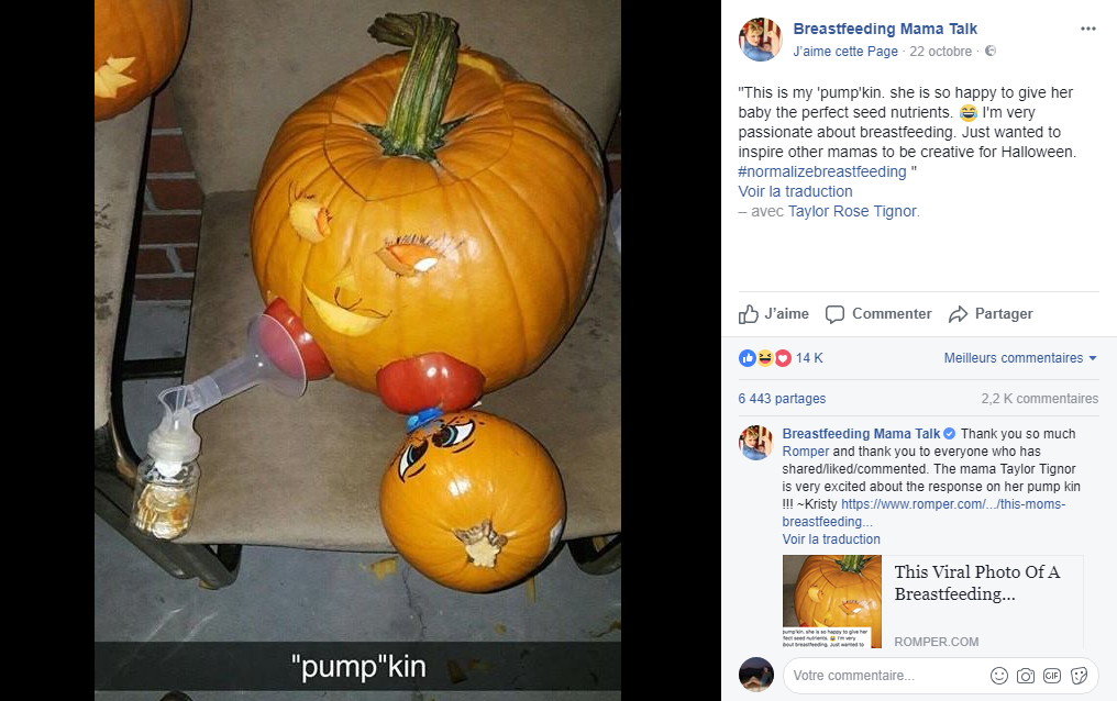 Capture pumpkin allaitement